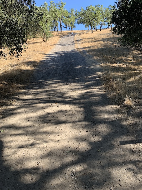 Grey Fox Trail Mountain Biking Trail San Ramon, CA