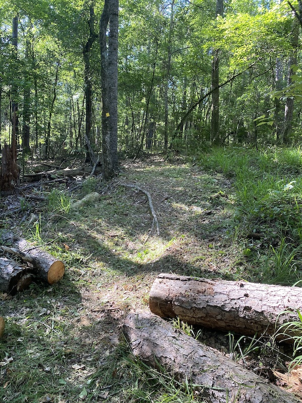 Keg Creek (East) Mountain Biking Trail Pollards Corner