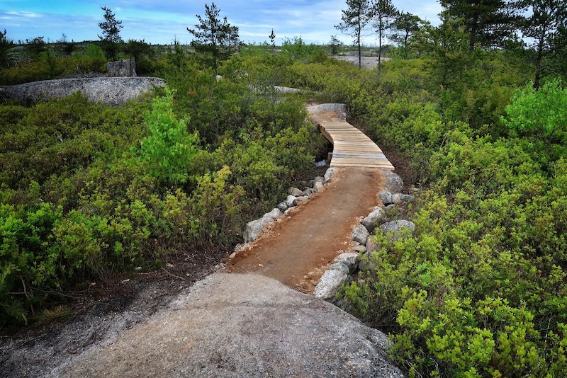 I/O Multi Trail McIntosh Run, Halifax, Nova Scotia