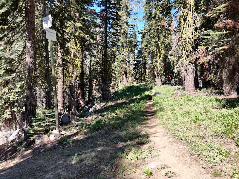 Claim Jumper Doubletrack Mountain Biking Trail Truckee