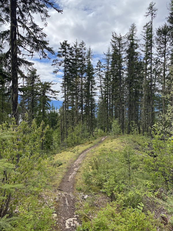 East Access Trail Mountain Biking Trail Kaslo, BC