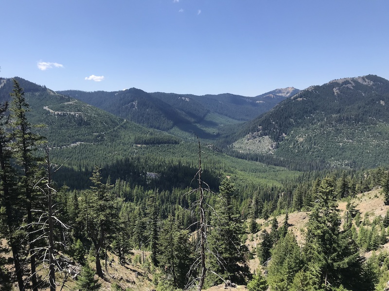 Taneum Ridge Trail Dirtbiking Trail Cle Elum, WA