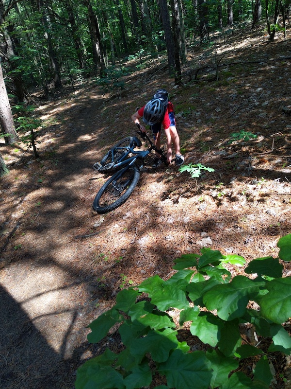 Washington County Mountain Biking Trails Trailforks