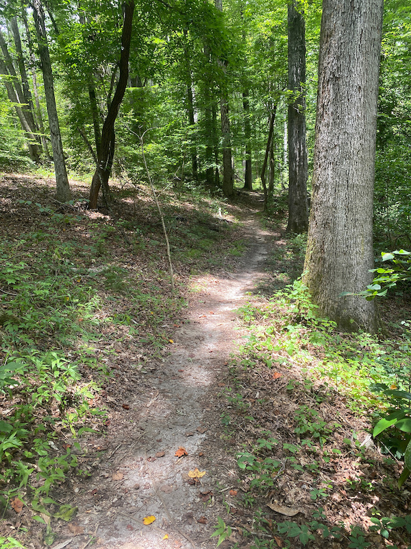 Bud's Loop Mountain Biking Trail - Milledgeville, Georgia