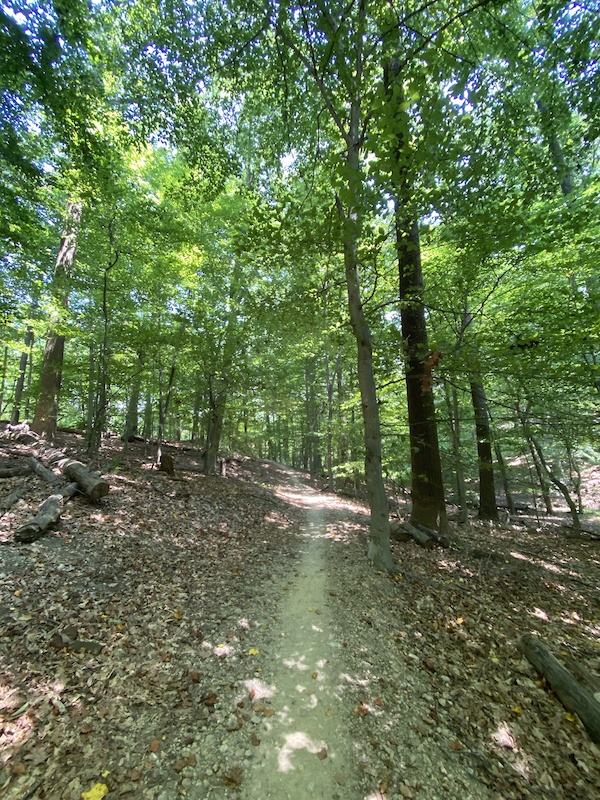 Dairy Barn Loop Multi Trail Lorton, Virginia