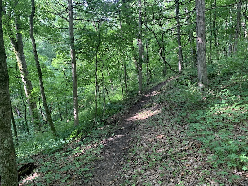 Mark Twain National Forest - Columbia, Columbia Mountain Biking Trails ...