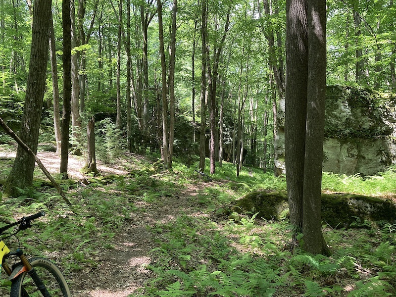 Morrison (Rimrock Loop) Multi Trail - Warren, PA