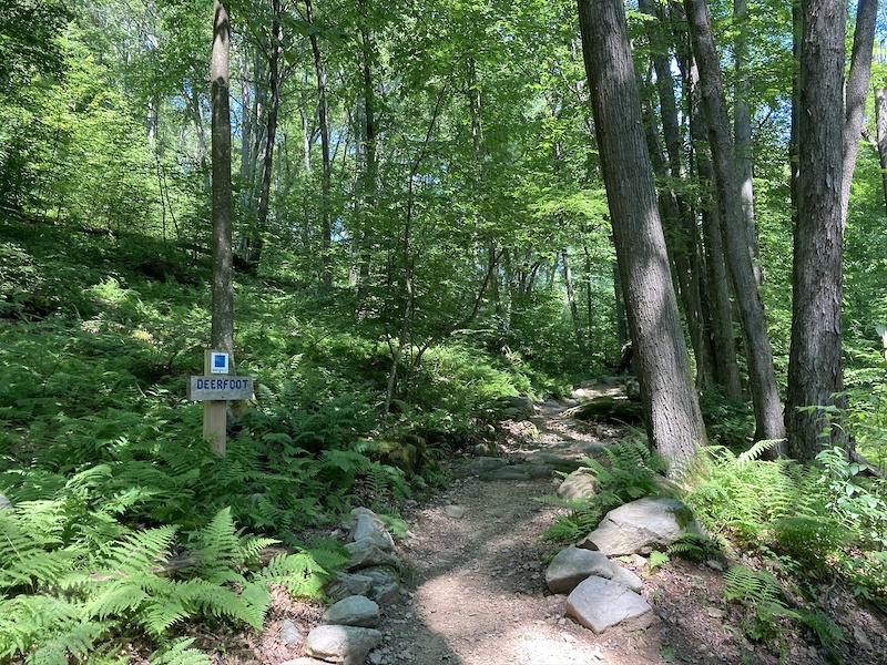 Jake's Rocks Trail Map Hit all the spots at Jakes Mountain Biking Route | Trailforks