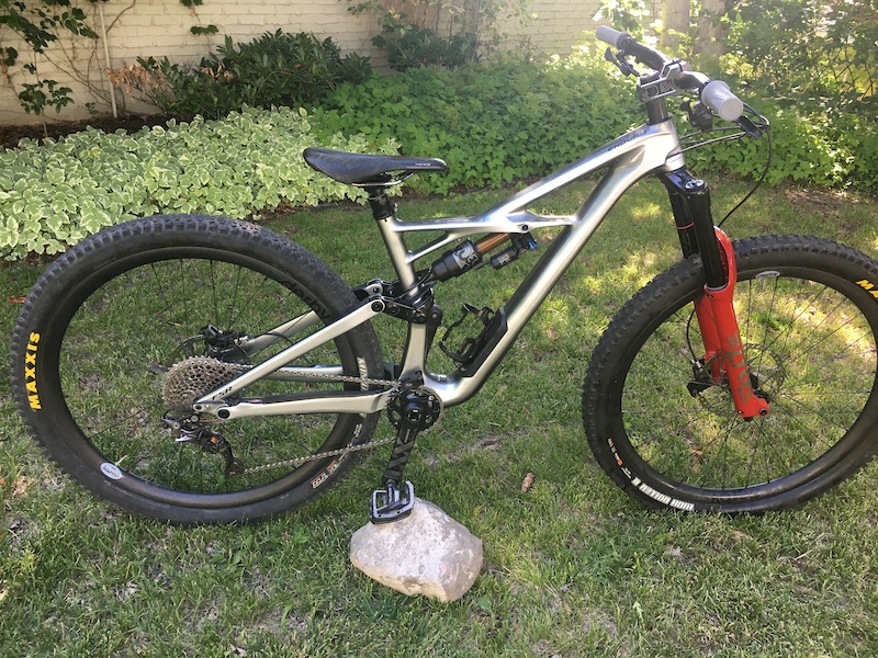 specialized enduro 2019 s works