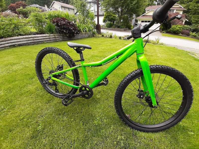 Scott best sale roxter 24