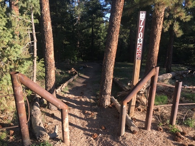 Bergen Rock (Turtle Mtn) 770.I