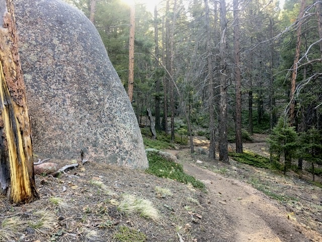 Bergen Rock (Turtle Mtn) 770.I