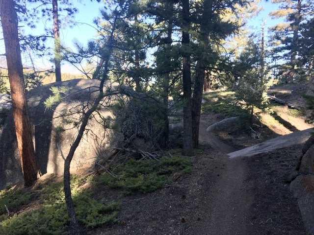 Bergen Rock (Turtle Mtn) 770.I