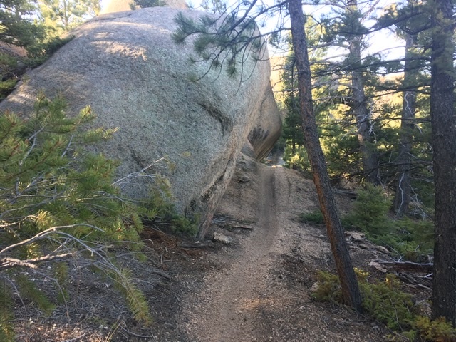 Bergen Rock (Turtle Mtn) 770.I