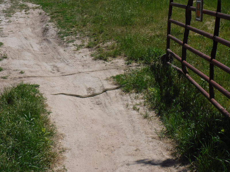 Potter's Pasture Campground Mountain Biking Trail Brady