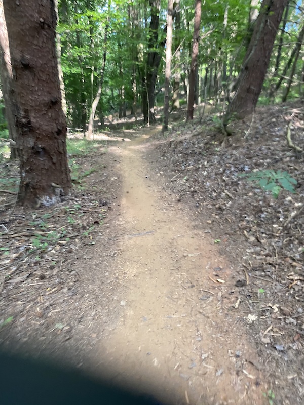 State Park Rd Mountain Biking Trail Troutman, NC