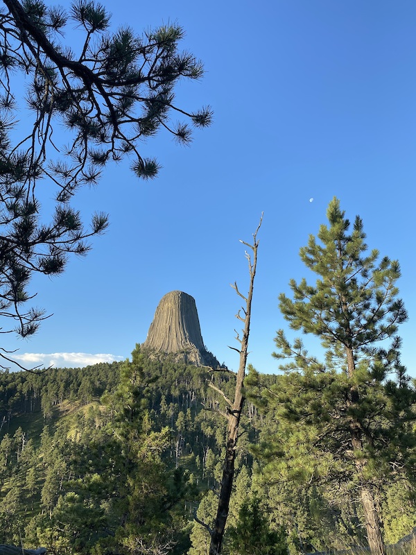 are dogs allowed at devils tower