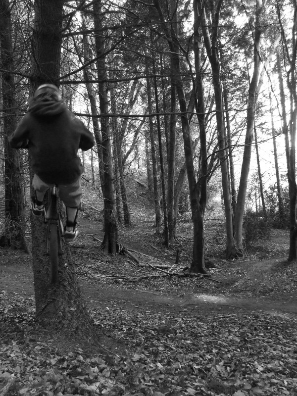 Me riding a tree at Still Woods
