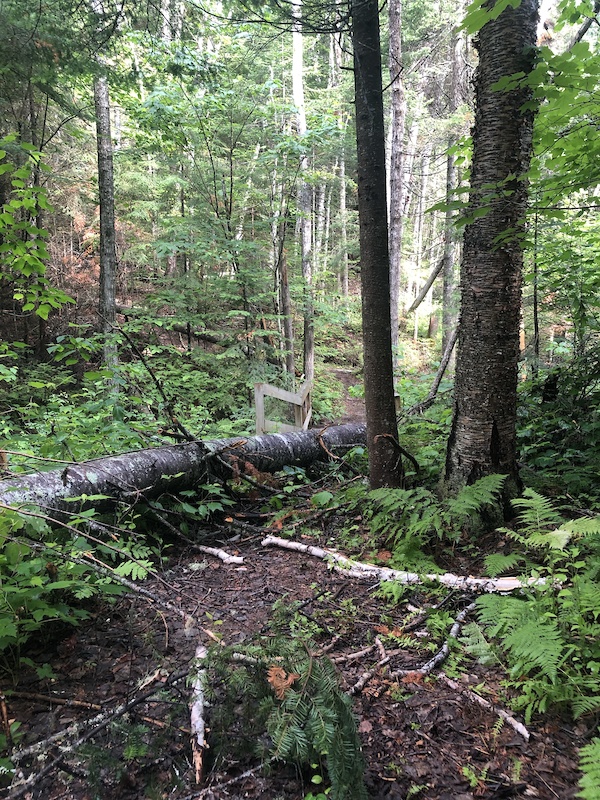 La Sapinière Mountain Biking Trail - Baie-Saint-Paul