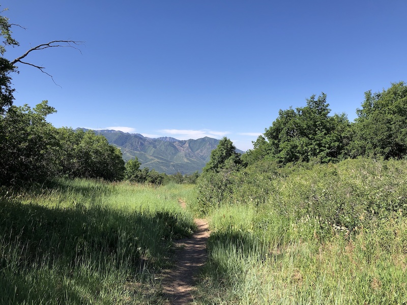 Little Mountain Hiking Trail Bountiful, Utah