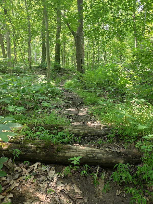 Yellow Trail Mountain Biking Trail - Rennerdale, PA