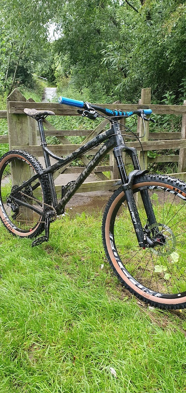 dartmoor primal frame 2020