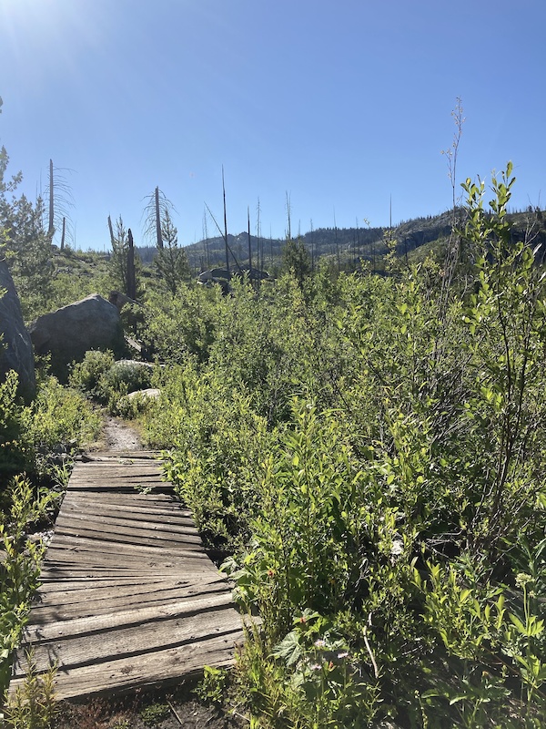 Blackwell Lake Loop Dirtbiking Trail McCall, Idaho