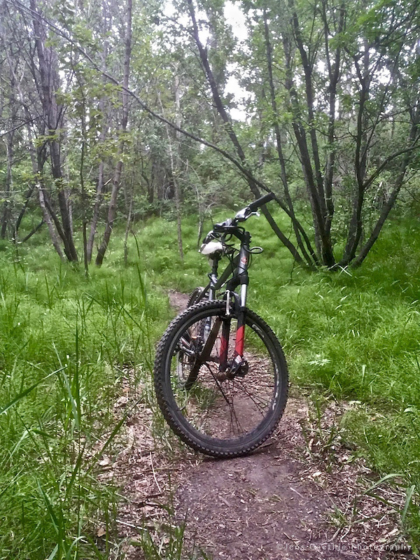 Little Hideaway Mountain Biking Trail Edmonton, Alberta
