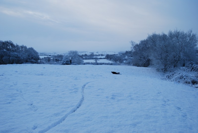 Just messing around in the snow, I like this one because you can see where i went, and then i just slid out!