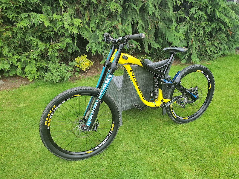 norco aurum 2016 price