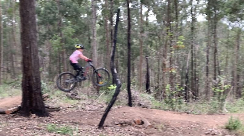 Dirt Serpent Mountain Biking Trail Coffs Harbour