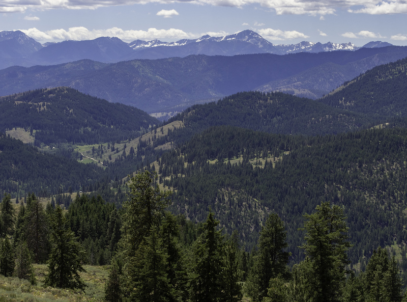 Buck Mountain Mountain Biking Trail Winthrop, WA