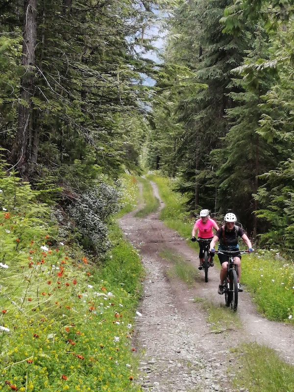 Wagon Road Kaslo Multi Trail Kaslo, BC Trailforks