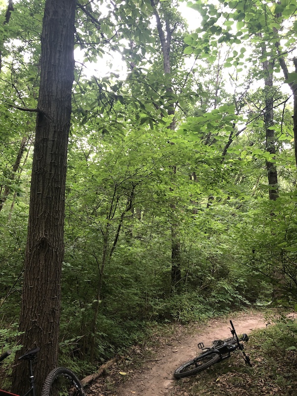 Walnut Woods Conservation Area, Liberty Mountain Biking Trails | Trailforks