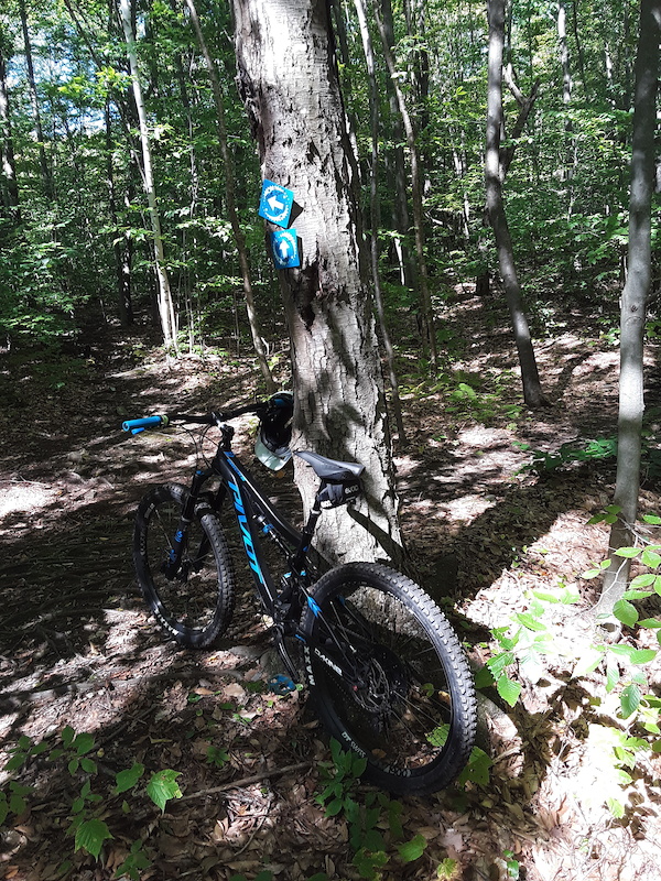 Front Door Mountain Biking Trail Hinesburg, Vermont