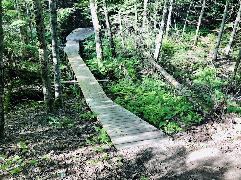 Old Man Mountain Biking Trail - Gorham, Maine