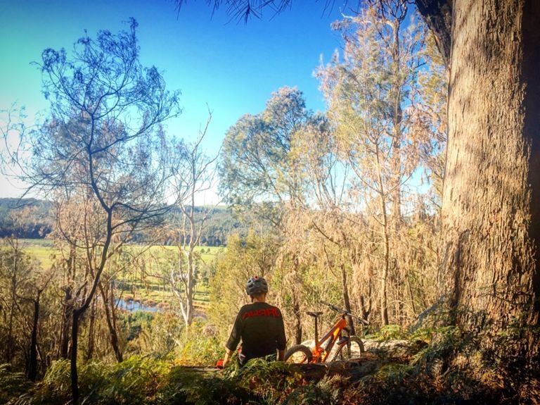 View from the "Log Lounge" at the top of first climb from the Warrawee end of the trail
