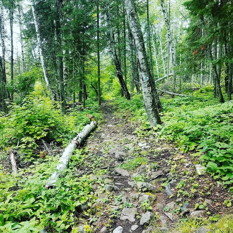 canadian-shield-mountain-biking-trail-grand-marais