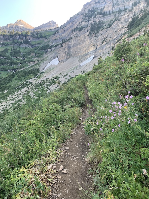 Mount Timpanogos Multi Trail - Sundance, Utah