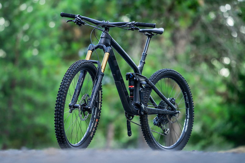 trek remedy 9 2019