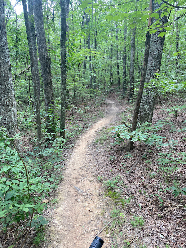 Shale Flats Trail Multi Trail - Trenton, Georgia