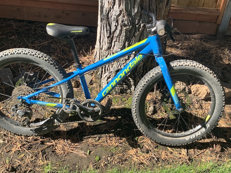 cannondale cujo 2 for sale