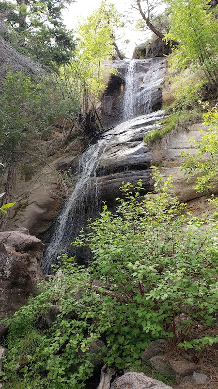 Singletree Falls Trail Multi Trail - Torrey, Utah