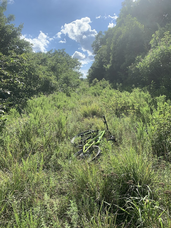 Double Track Trail Mountain Biking Trail - Burbank