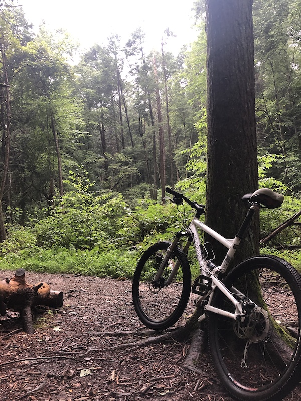 willowdale mountain biking