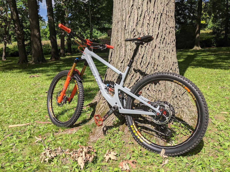 santa cruz chameleon craigslist