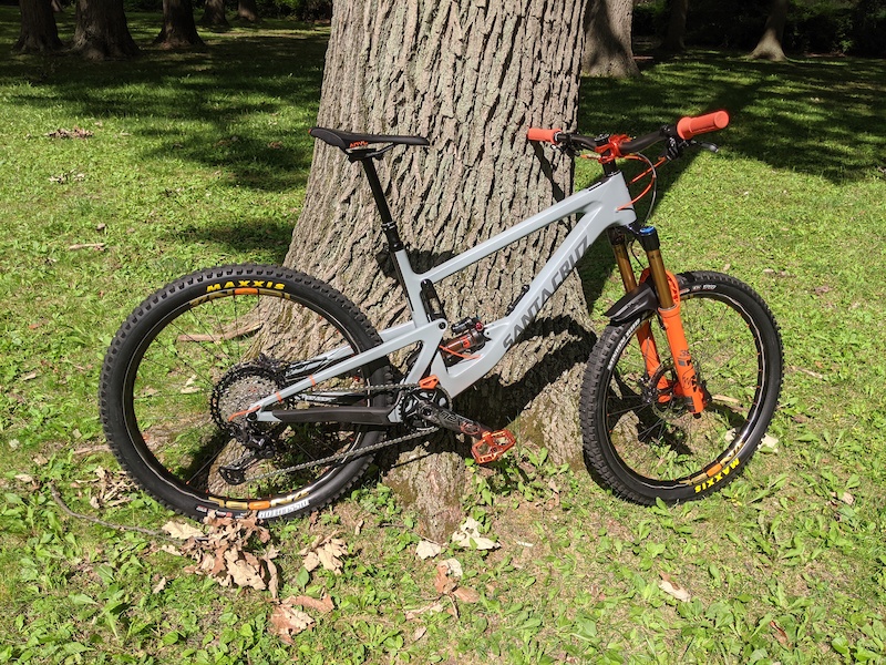 santa cruz chameleon craigslist