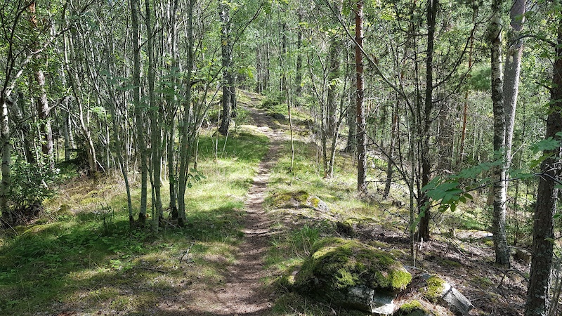 Sörmlandsleden Malma Naturreservat Mountain Biking Trail - Flen