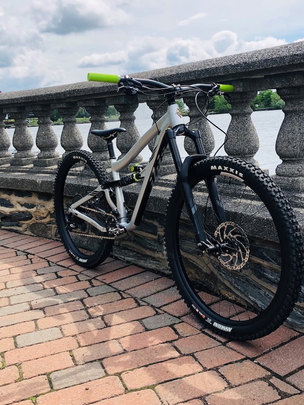 ibis ripmo 2020