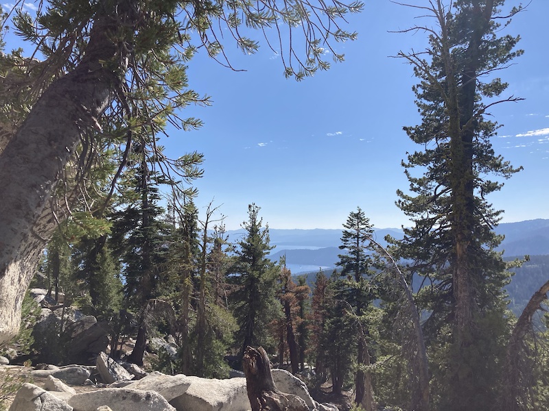 Old Mount Rose Highway (Upper) Multi Trail Incline Village, NV